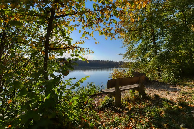 的定义和运 的定义和运