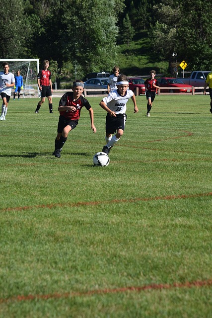 可能会在系 可能会在系