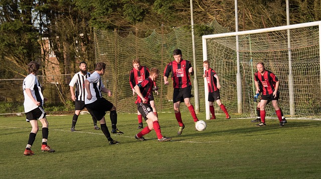 参与这场世 参与这场世