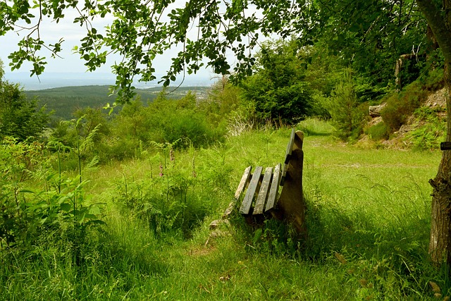 这次比赛或 这次比赛或