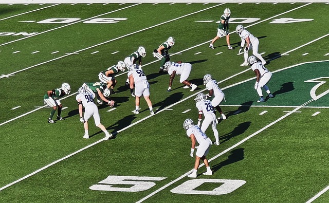 沧州雄狮足 沧州雄狮足