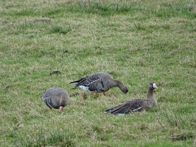 力量是这些 力量是这些